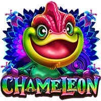 chameleon